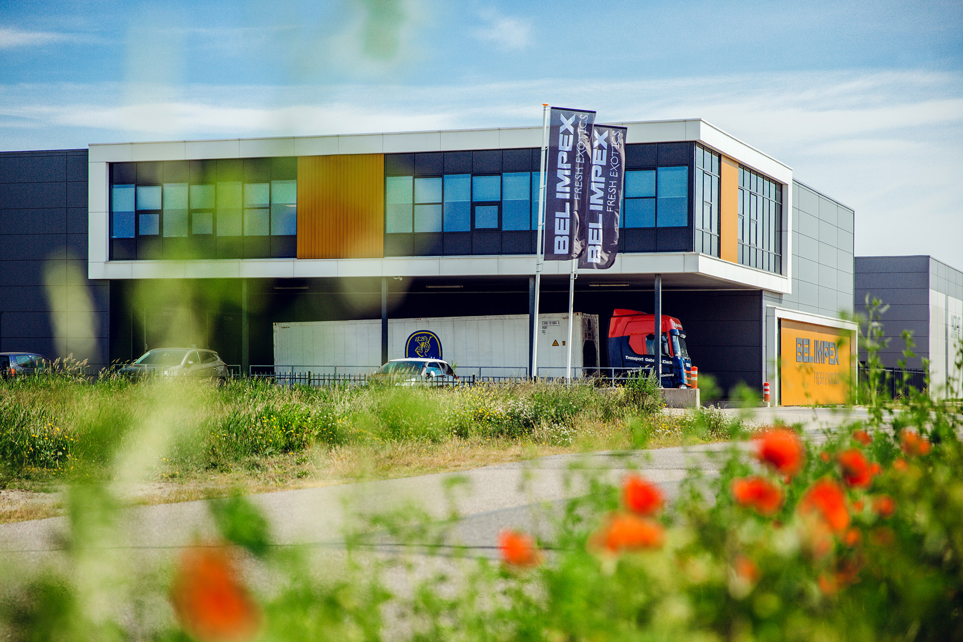 Bel Impex